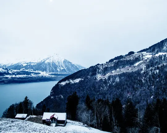 Travel & world — Timo Frazier