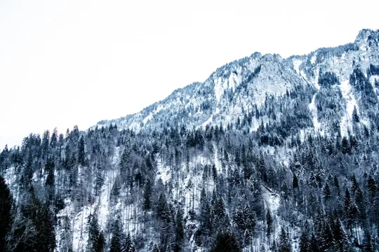 Travel & world — Timo Frazier