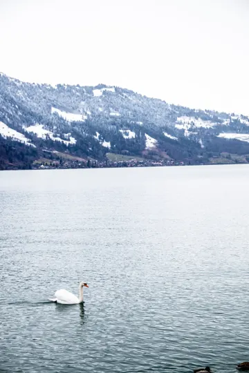 Travel & world — Timo Frazier