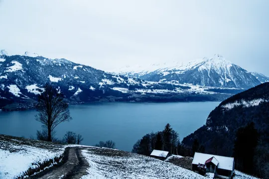 Travel & world — Timo Frazier